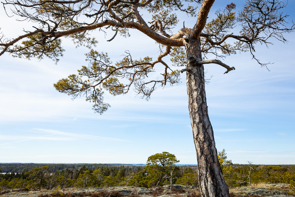 Pääsiäisretkeilyä Kemiönsaaren keväässä 